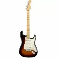 Fender 0144502500 Player Stratocaster Electric Guitar Maple