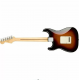 Fender 0144502500 Player Stratocaster Electric Guitar Maple Fingerboard - 3 Color Sunburst