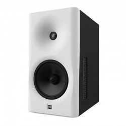 Dutch & Dutch 8c Active Speakers White & Black