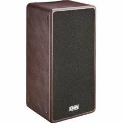 Laney ADUO Acoustic instrument combo - 120W - 2 x 8 inch coaxial woofers