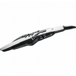 Roland Aerophone AE-20 Digital Wind Instrument