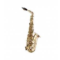 Stagg Eb Alto Saxophone, with High F# Key in Form Case