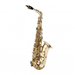 Stagg Eb Alto Saxophone, with High F# Key in Form Case