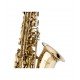 Stagg Eb Alto Saxophone, with High F# Key in Form Case