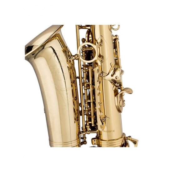 Stagg Eb Alto Saxophone, with High F# Key in Form Case