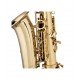 Stagg Eb Alto Saxophone, with High F# Key in Form Case