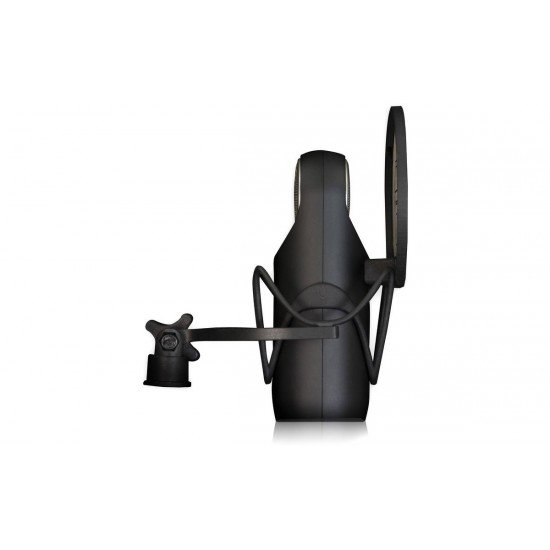 Aston ELEMENTBUNDLE Cardioid Studio Microphone with Ridyon Capsule Aston ELEMENTBUNDLE Cardioid Studio Microphone with Ridyon Capsule