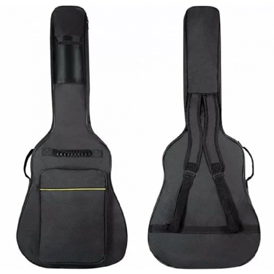 Tianjian AF101A Gold Lock Acoustic Guitar Case