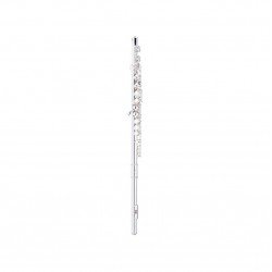 Stagg C Flute,16 Key Closed Holes, Offset G, Split E