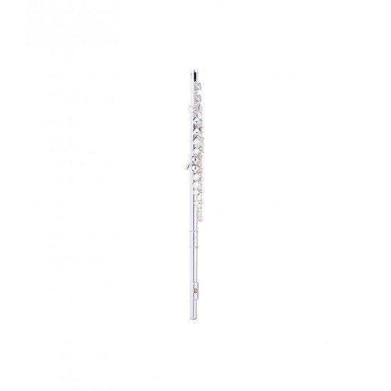 Stagg C Flute,16 Key Closed Holes, Offset G, Split E