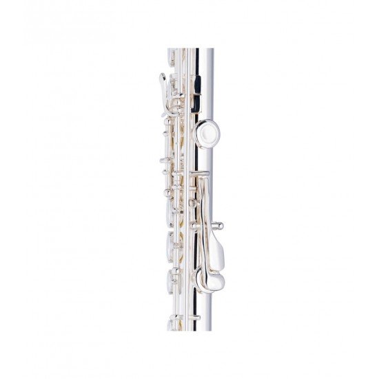 Stagg C Flute,16 Key Closed Holes, Offset G, Split E