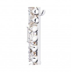 Stagg C Flute,16 Key Closed Holes, Offset G, Split E