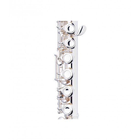 Stagg C Flute,16 Key Closed Holes, Offset G, Split E