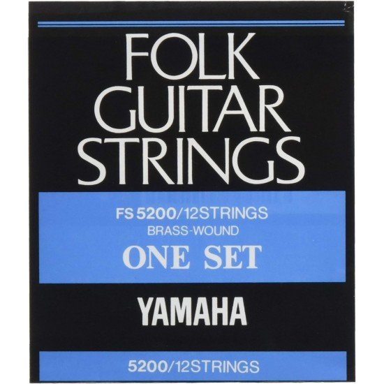 Yamaha FS5200 12 String Fork Guitar Set Strings