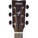 Yamaha FS800 T Concert Acoustic Limited Edition Tinted Natural Top