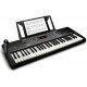 Alesis Harmony 54 54-key Portable Arranger Keyboard