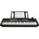 Alesis Harmony 54 54-key Portable Arranger Keyboard