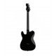 ESP LTD TE-200M with Maple Fretboard, Black Finish