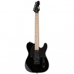 ESP LTD TE-200M with Maple Fretboard, Black Finish