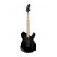 ESP LTD TE-200M with Maple Fretboard, Black Finish