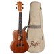 Flight NUC310 Concert Ukulele Pack