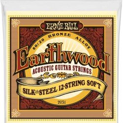 Ernie Ball Earthwood Silk and Steel 12-String Soft Acoustic Guitar Strings, 9-49 Gauge (P02051)