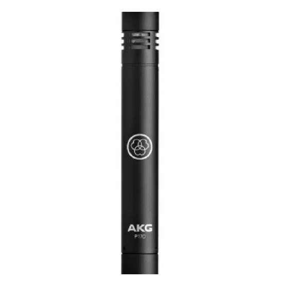 AKG P170 High-Performance Instrument Microphone