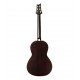 PRS SE Parlor Acoustic Guitar with Fishman SonoTone, Tobacco Burst Finish Includes PRS Gig Bag