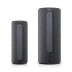 Loewe We Hear 2 Speaker