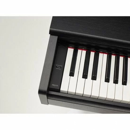 Yamaha shop arius ydp144r