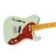 Fender Limited Edition American Professional II Telecaster Thinline 171022735 Electric Guitar - Transparent Surf Green