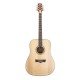 PEAVEY DW2 Solid Top Dreadnaught Acoustic Guitar Natural With Case PEAVEY DW2 Solid Top Dreadnaught Acoustic Guitar Natural With Case