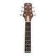 PEAVEY DW2 Solid Top Dreadnaught Acoustic Guitar Natural With Case PEAVEY DW2 Solid Top Dreadnaught Acoustic Guitar Natural With Case