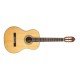 Peavey CNS-2 Classical Guitar Nylon String Solid Top- Natural Peavey CNS-2 Classical Guitar Nylon String Solid Top- Natural