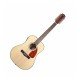 Fender 0961522021 CD-160SE 12 String Acoustic Electric Guitar - Natural Fender 0961522021 CD-160SE 12 String Acoustic Electric Guitar - Natural
