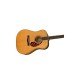 Fender 0970612334 Limited Edition PD-220E Dreadnought Electro-Acoustic In Aged Natural