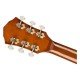 Fender 0971343087 Limited Edition FA-345CE Auditorium - Ovangkol Exotic Fender 0971343087 Limited Edition FA-345CE Auditorium - Ovangkol Exotic