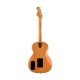 Fender Highway Series Parlor Acoustic-electric Guitar - Mahogany Fender Highway Series Parlor Acoustic-electric Guitar - Mahogany