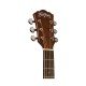 Washburn Apprentice 5 Series AD5K Natural Washburn Apprentice 5 Series AD5K Natural
