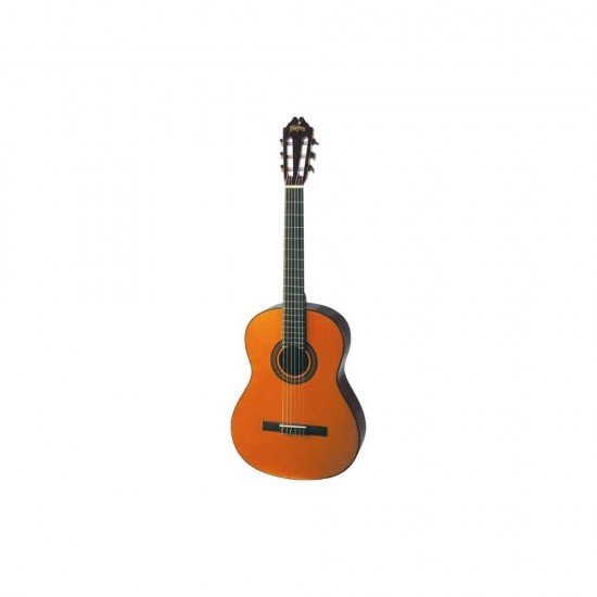 Washburn C40USM Classical Series Acoustic Guitar Washburn C40USM Classical Series Acoustic Guitar