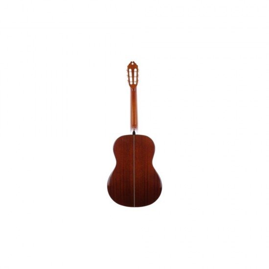 Washburn C40USM Classical Series Acoustic Guitar Washburn C40USM Classical Series Acoustic Guitar