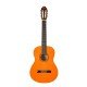 Washburn C5 Classical Acoustic Guitar - Natural Washburn C5 Classical Acoustic Guitar - Natural