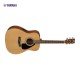 Yamaha FX-310AII Electric Acoustic Guitar Yamaha FX-310AII Electric Acoustic Guitar