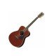 Yamaha LL16 ARE Original Jumbo - Dark Tinted Yamaha LL16 ARE Original Jumbo - Dark Tinted