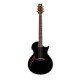 ESP LTD TL-6 Thinline Acoustic Guitar, Black Finish