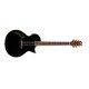 ESP LTD TL-6 Thinline Acoustic Guitar, Black Finish