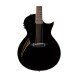 ESP LTD TL-6 Thinline Acoustic Guitar, Black Finish