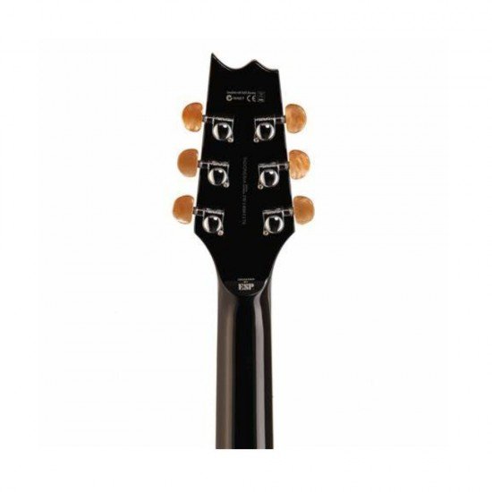 ESP LTD TL-6 Thinline Acoustic Guitar, Black Finish