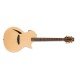 ESP LTD TL-6 Thinline Acoustic Guitar, Natural Finish ESP LTD TL-6 Thinline Acoustic Guitar, Natural Finish
