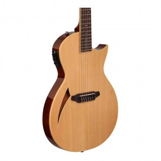 ESP LTD TL-6 Thinline Acoustic Guitar, Natural Finish ESP LTD TL-6 Thinline Acoustic Guitar, Natural Finish